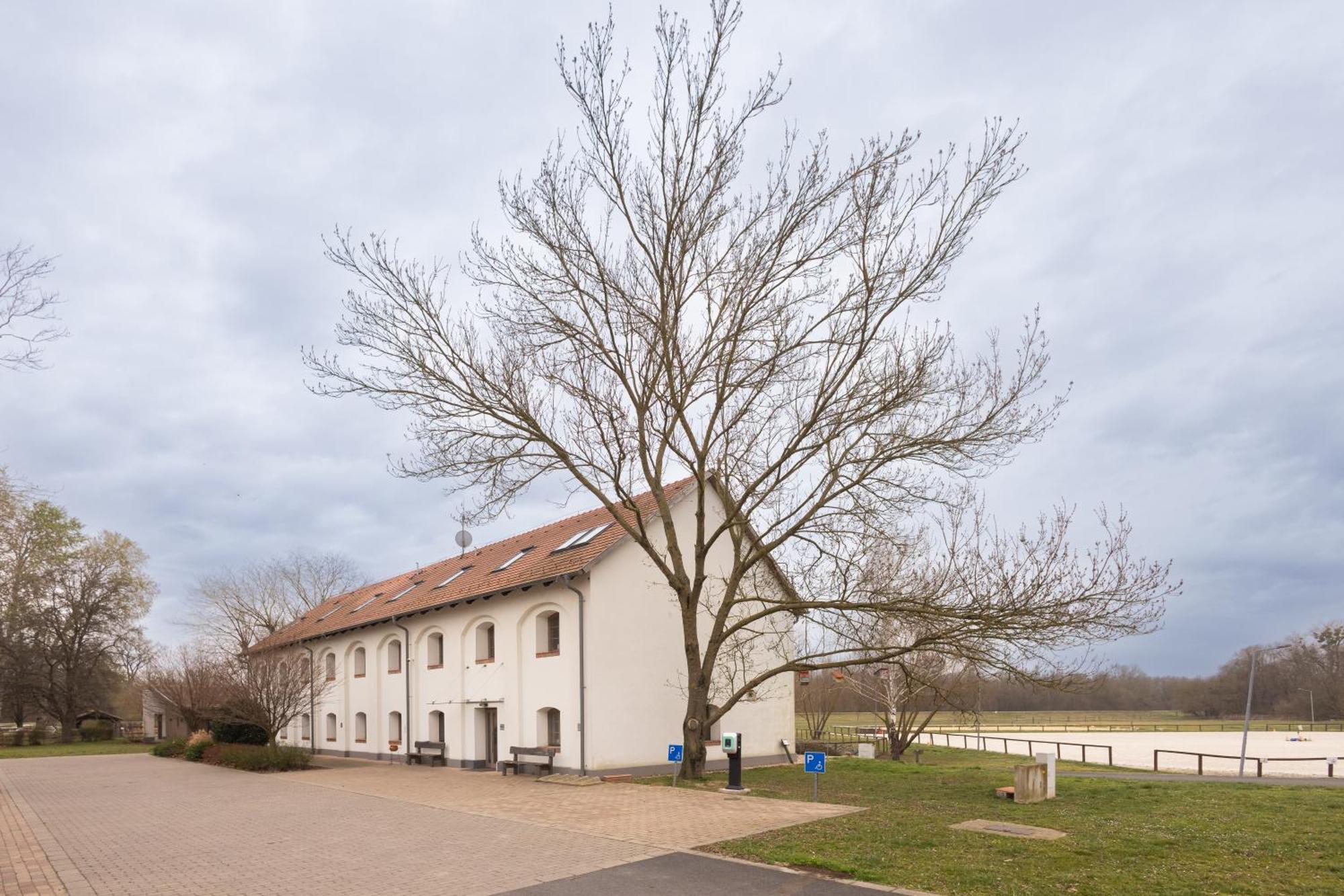 Hotel Vadkert Major Sárvár Exteriér fotografie